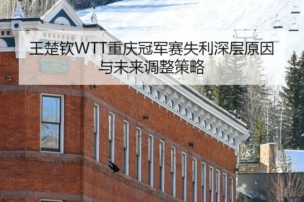 王楚钦WTT重庆冠军赛失利深层原因与未来调整策略